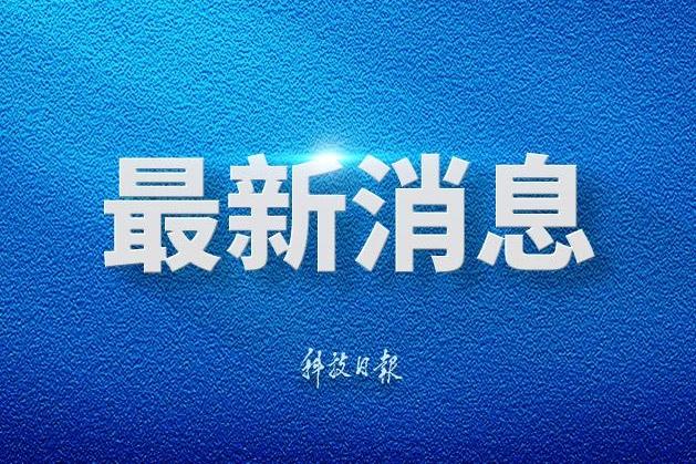 林诗栋蒯曼冠军
