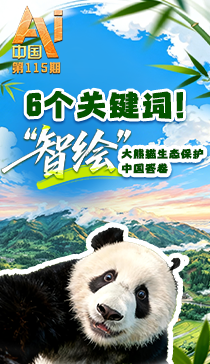 谢娜还是太超前了