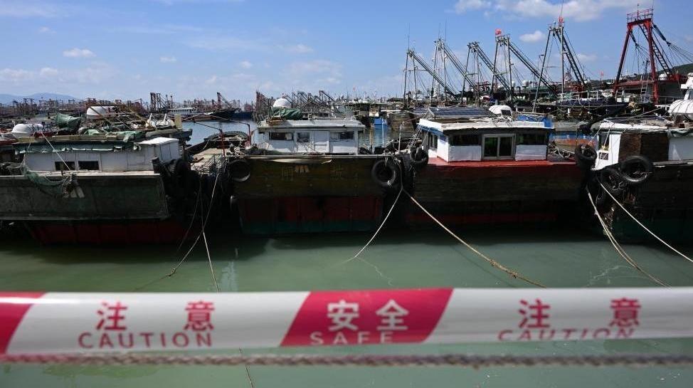 丹麦国王腓特烈十世会见王毅