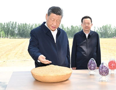 联合国工发组织总干事代表：弥合数字鸿沟与数字创新同等重要
