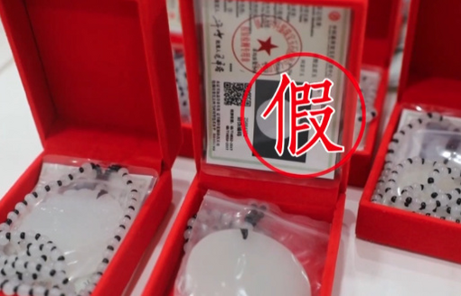 广西发现新物种阳朔风筝果