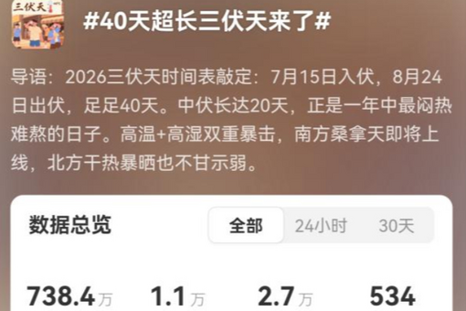 文章模仿向佐动作