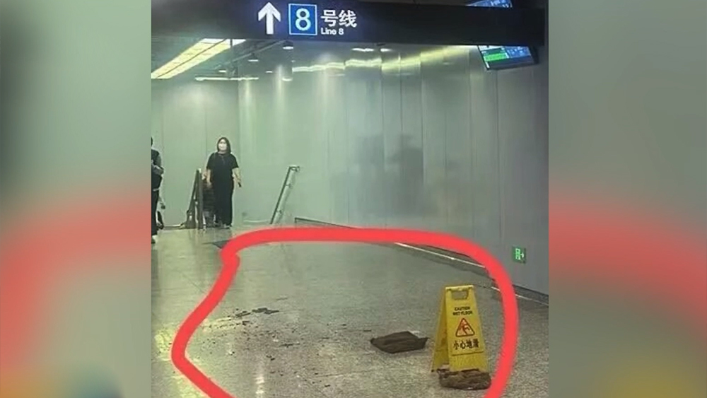 龚琳娜离婚
