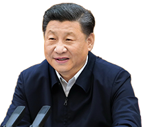 预制孕照