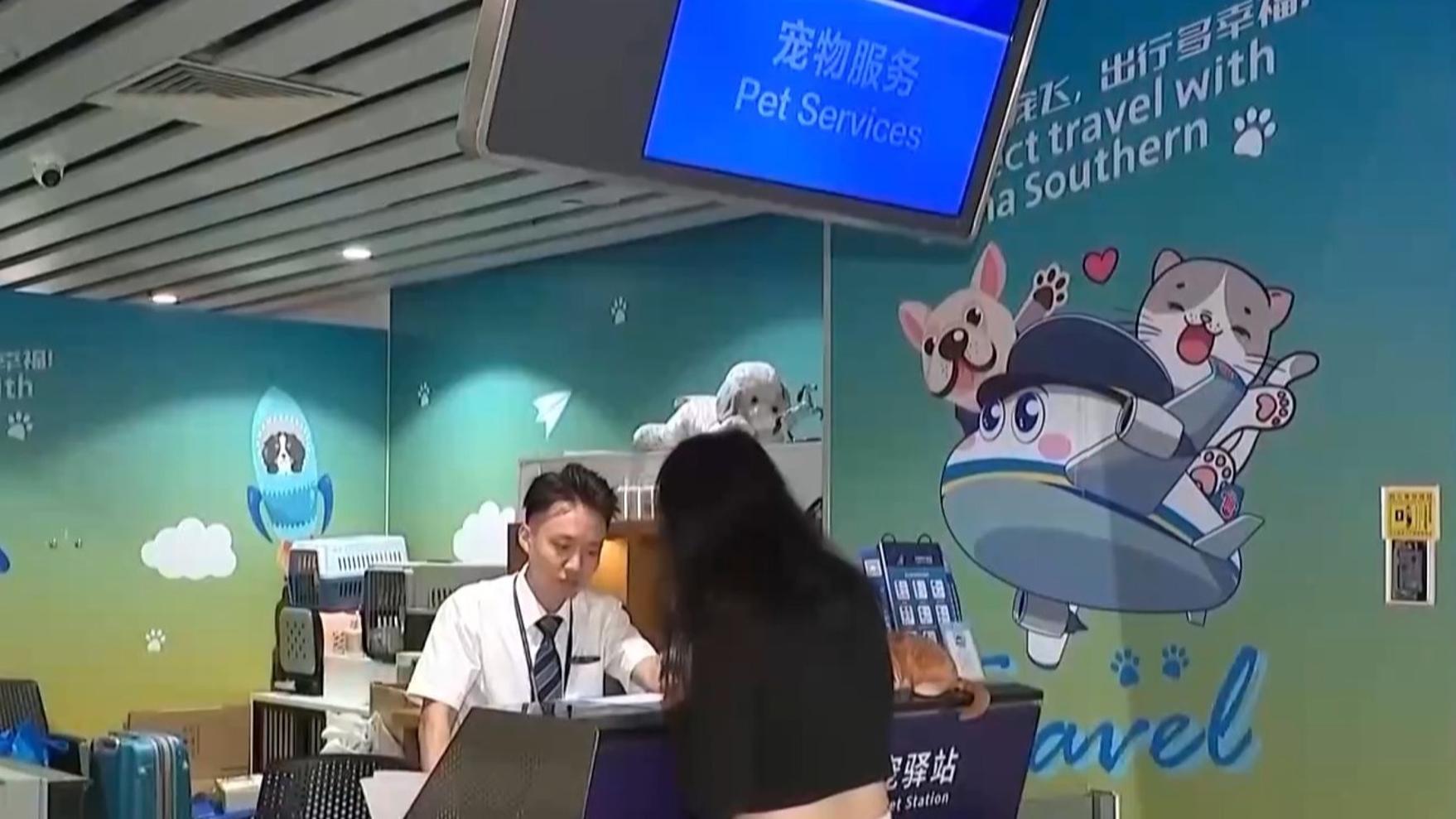 高清在线播放
