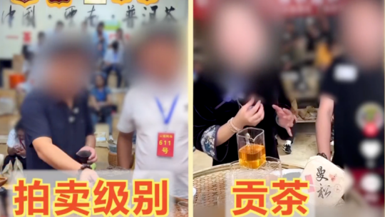 免费在线观看