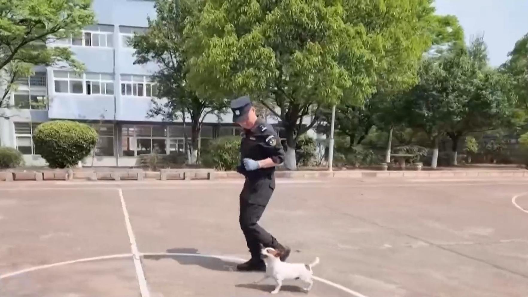 每日经济新闻