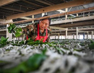 外交部回应所谓台洪“复交”：注意到洪都拉斯已对台湾当局谎言作出澄清