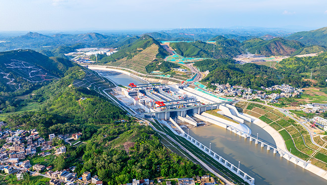 疾控部门回应广东蟑螂已进化